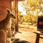 Kangaroo watching Netflix on outback TV.